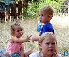  (photo)