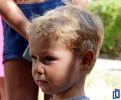  (photo)