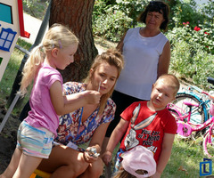  (photo)